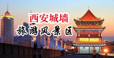 嗯,嗯哦哦动态图好爽好大中国陕西-西安城墙旅游风景区